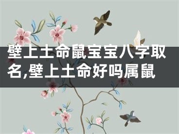 壁上土命鼠宝宝八字取名,壁上土命好吗属鼠