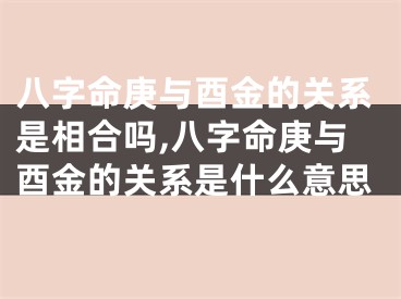 八字命庚与酉金的关系是相合吗,八字命庚与酉金的关系是什么意思