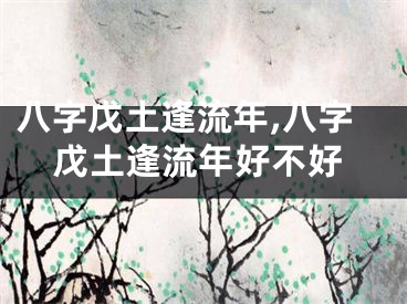 八字戊土逢流年,八字戊土逢流年好不好