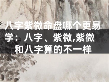 八字紫微命盘哪个更易学：八字、紫微,紫微和八字算的不一样