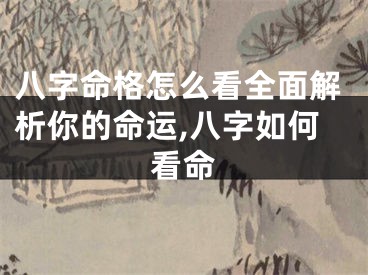 八字命格怎么看全面解析你的命运,八字如何看命