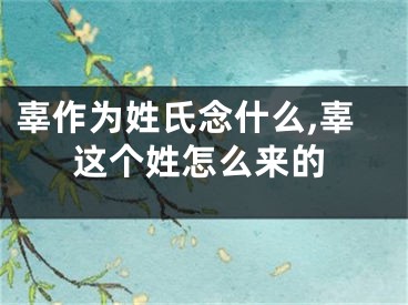 辜作为姓氏念什么,辜这个姓怎么来的