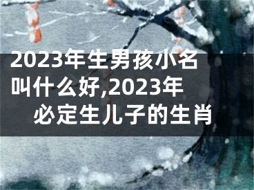 2023年生男孩小名叫什么好,2023年必定生儿子的生肖