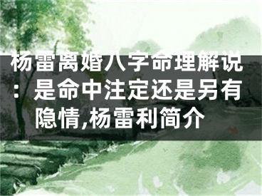 杨雷离婚八字命理解说：是命中注定还是另有隐情,杨雷利简介