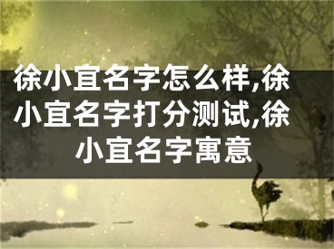 徐小宜名字怎么样,徐小宜名字打分测试,徐小宜名字寓意