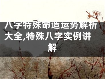 八字特殊命造运势解析大全,特殊八字实例讲解
