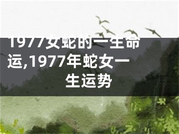 1977女蛇的一生命运,1977年蛇女一生运势
