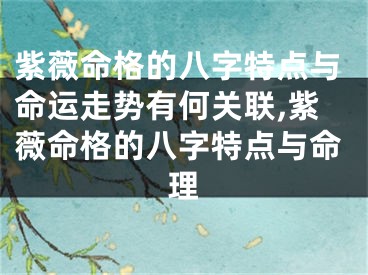 紫薇命格的八字特点与命运走势有何关联,紫薇命格的八字特点与命理