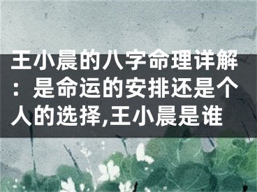 王小晨的八字命理详解：是命运的安排还是个人的选择,王小晨是谁