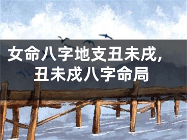 女命八字地支丑未戌,丑未戍八字命局