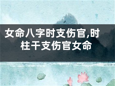 女命八字时支伤官,时柱干支伤官女命