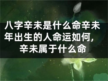 八字辛未是什么命辛未年出生的人命运如何,辛未属于什么命