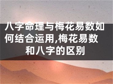 八字命理与梅花易数如何结合运用,梅花易数和八字的区别
