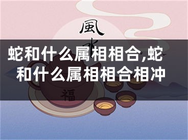 蛇和什么属相相合,蛇和什么属相相合相冲
