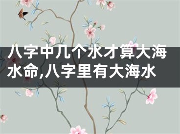八字中几个水才算大海水命,八字里有大海水