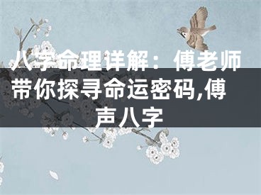八字命理详解：傅老师带你探寻命运密码,傅声八字