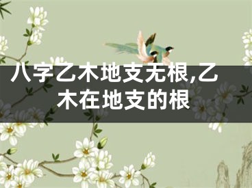 八字乙木地支无根,乙木在地支的根