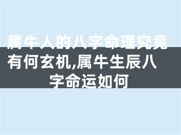 属牛人的八字命理究竟有何玄机,属牛生辰八字命运如何