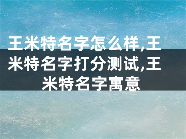 王米特名字怎么样,王米特名字打分测试,王米特名字寓意