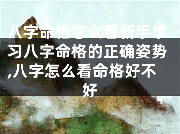 八字命格怎么看新手学习八字命格的正确姿势,八字怎么看命格好不好