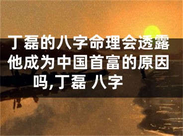 丁磊的八字命理会透露他成为中国首富的原因吗,丁磊 八字