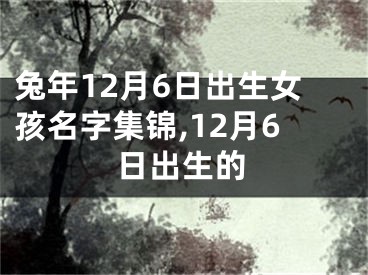 兔年12月6日出生女孩名字集锦,12月6日出生的