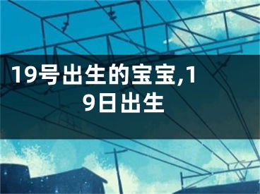 19号出生的宝宝,19日出生