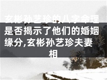 玄彬孙艺珍的八字命理是否揭示了他们的婚姻缘分,玄彬孙艺珍夫妻相