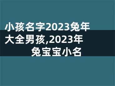 小孩名字2023兔年大全男孩,2023年兔宝宝小名