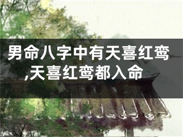 男命八字中有天喜红鸾,天喜红鸾都入命