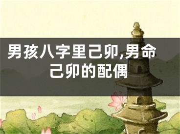 男孩八字里己卯,男命己卯的配偶