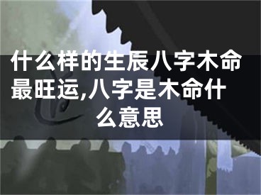 什么样的生辰八字木命最旺运,八字是木命什么意思