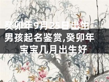 癸卯年9月25日出生男孩起名鉴赏,癸卯年宝宝几月出生好