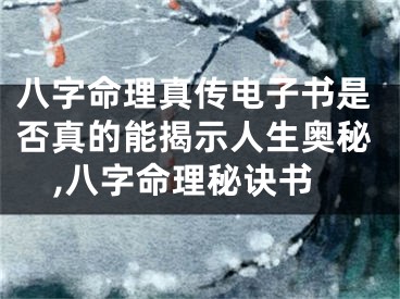 八字命理真传电子书是否真的能揭示人生奥秘,八字命理秘诀书