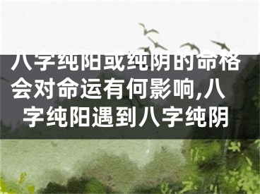 八字纯阳或纯阴的命格会对命运有何影响,八字纯阳遇到八字纯阴