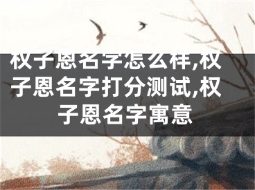 权子恩名字怎么样,权子恩名字打分测试,权子恩名字寓意