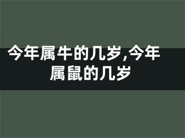 今年属牛的几岁,今年属鼠的几岁