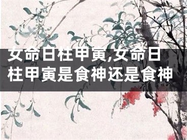女命日柱甲寅,女命日柱甲寅是食神还是食神