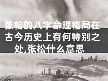 张松的八字命理格局在古今历史上有何特别之处,张松什么意思