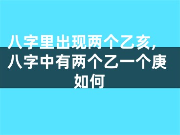 八字里出现两个乙亥,八字中有两个乙一个庚如何