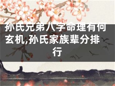 孙氏兄弟八字命理有何玄机,孙氏家族辈分排行