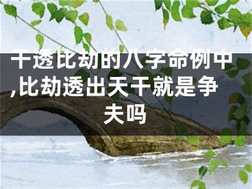 干透比劫的八字命例中,比劫透出天干就是争夫吗