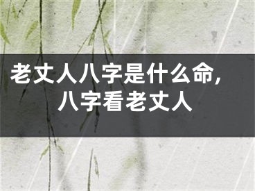 老丈人八字是什么命,八字看老丈人