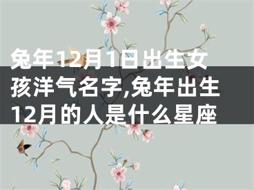 兔年12月1日出生女孩洋气名字,兔年出生12月的人是什么星座