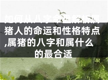 如何从八字命盘解析属猪人的命运和性格特点,属猪的八字和属什么的最合适