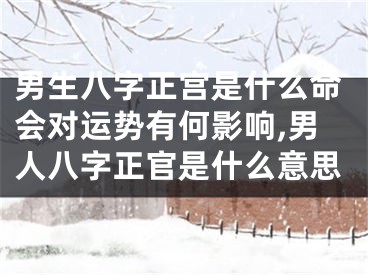 男生八字正宫是什么命会对运势有何影响,男人八字正官是什么意思
