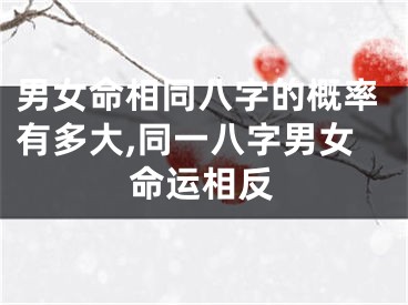 男女命相同八字的概率有多大,同一八字男女命运相反