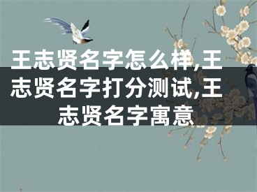 王志贤名字怎么样,王志贤名字打分测试,王志贤名字寓意