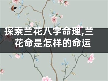 探索兰花八字命理,兰花命是怎样的命运