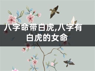 八字命带白虎,八字有白虎的女命